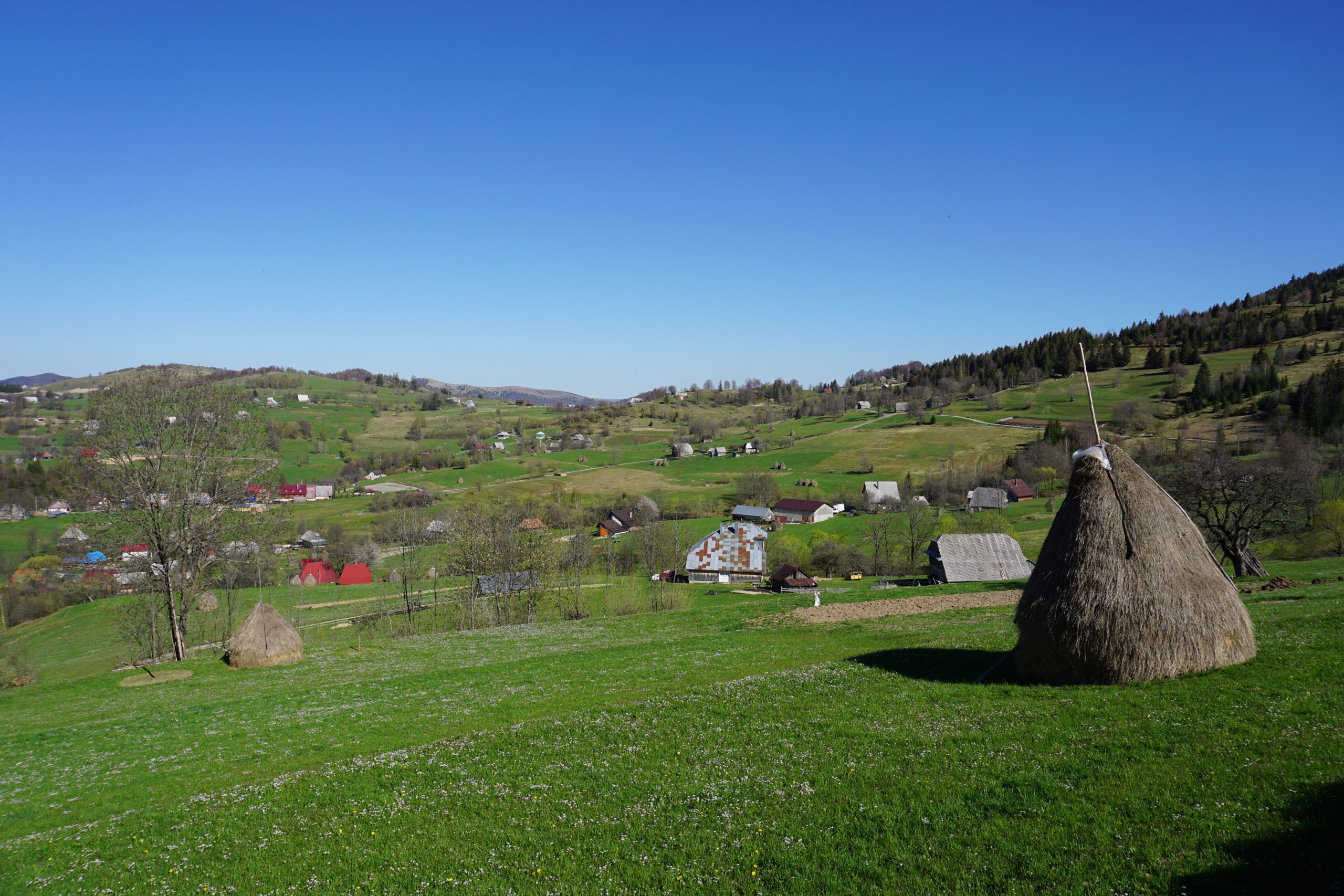 Hiking in the Vladeasa Mountains - Roamaniac